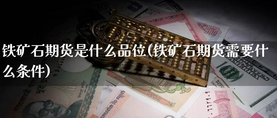 铁矿石期货是什么品位(铁矿石期货需要什么条件)