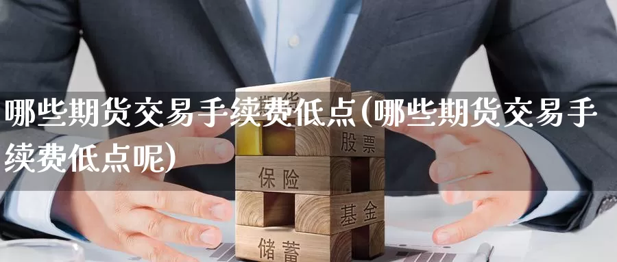 哪些期货交易手续费低点(哪些期货交易手续费低点呢)