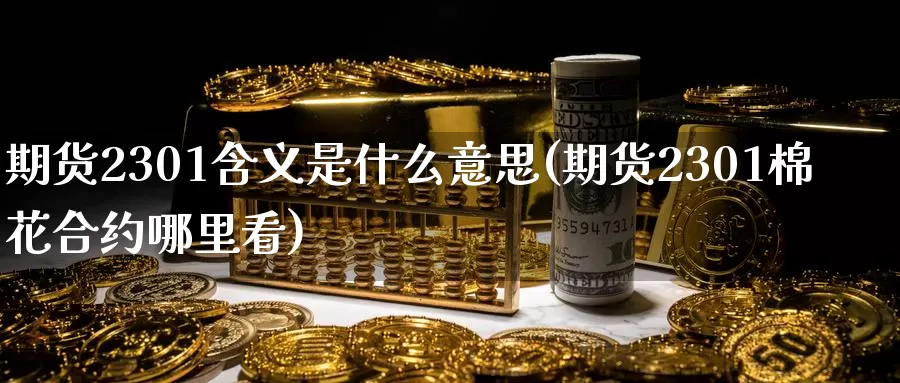期货2301含义是什么意思(期货2301棉花合约哪里看)