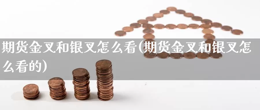 期货金叉和银叉怎么看(期货金叉和银叉怎么看的)