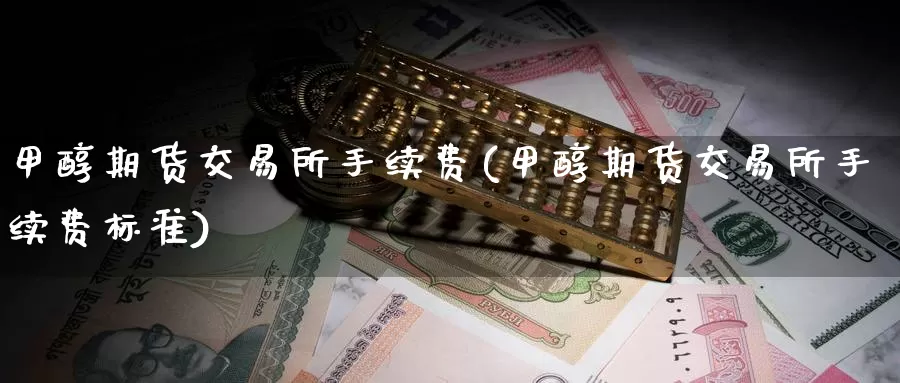 甲醇期货交易所手续费(甲醇期货交易所手续费标准)