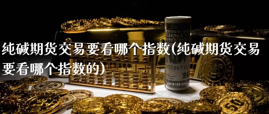 纯碱期货交易要看哪个指数(纯碱期货交易要看哪个指数的)