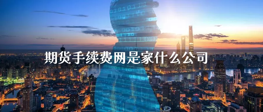 期货手续费网是家什么公司
