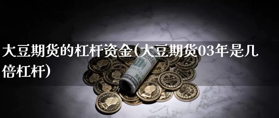 大豆期货的杠杆资金(大豆期货03年是几倍杠杆)