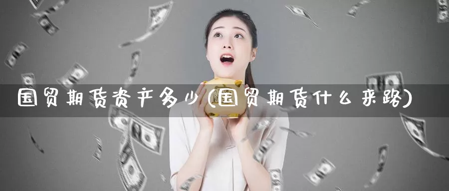 国贸期货资产多少(国贸期货什么来路)