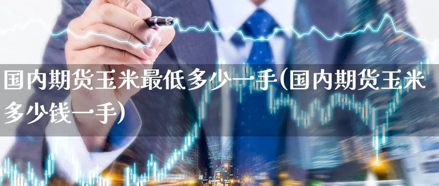 国内期货玉米最低多少一手(国内期货玉米多少钱一手)