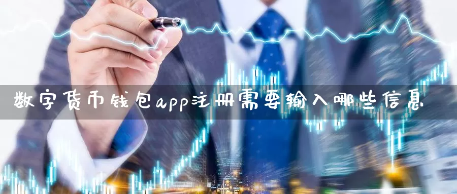 数字货币钱包app注册需要输入哪些信息