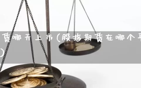 股指期货哪天上市(股指期货在哪个平台可以交易)