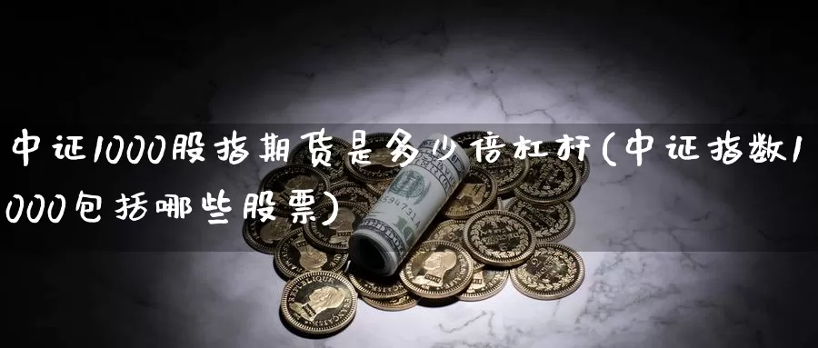 中证1000股指期货是多少倍杠杆(中证指数1000包括哪些股票)
