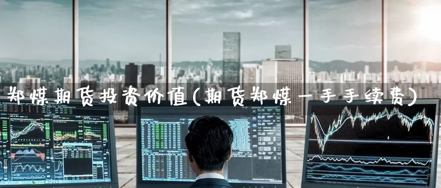 郑煤期货投资价值(期货郑煤一手手续费)