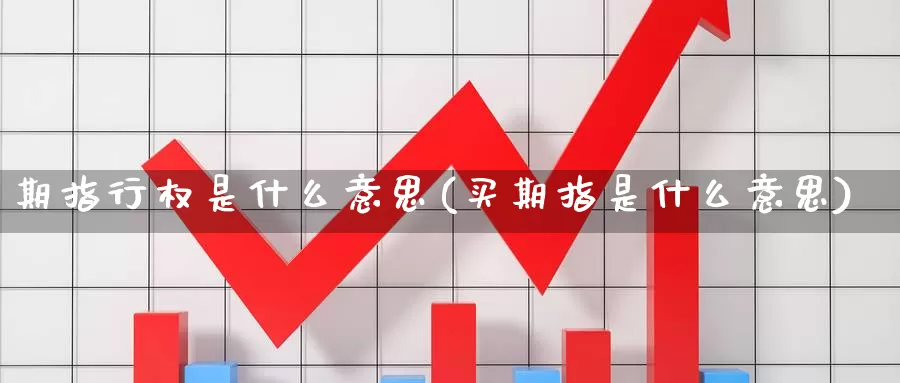 期指行权是什么意思(买期指是什么意思)
