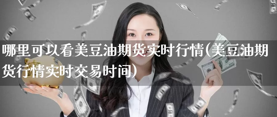 哪里可以看美豆油期货实时行情(美豆油期货行情实时交易时间)