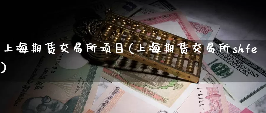 上海期货交易所项目(上海期货交易所shfe)