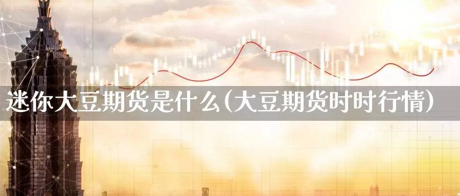 迷你大豆期货是什么(大豆期货时时行情)