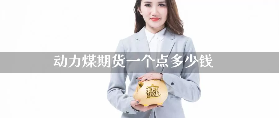 动力煤期货一个点多少钱