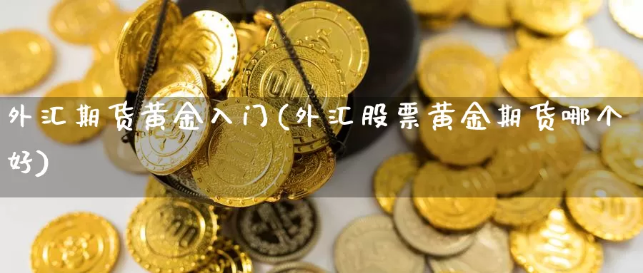 外汇期货黄金入门(外汇股票黄金期货哪个好)