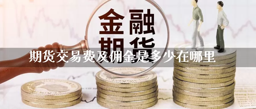 期货交易费及佣金是多少在哪里