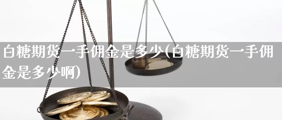 白糖期货一手佣金是多少(白糖期货一手佣金是多少啊)