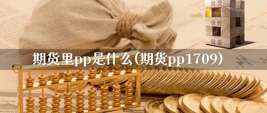 期货里pp是什么(期货pp1709)