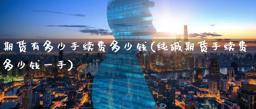 期货有多少手续费多少钱(纯碱期货手续费多少钱一手)