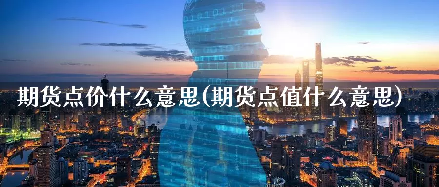 期货点价什么意思(期货点值什么意思)