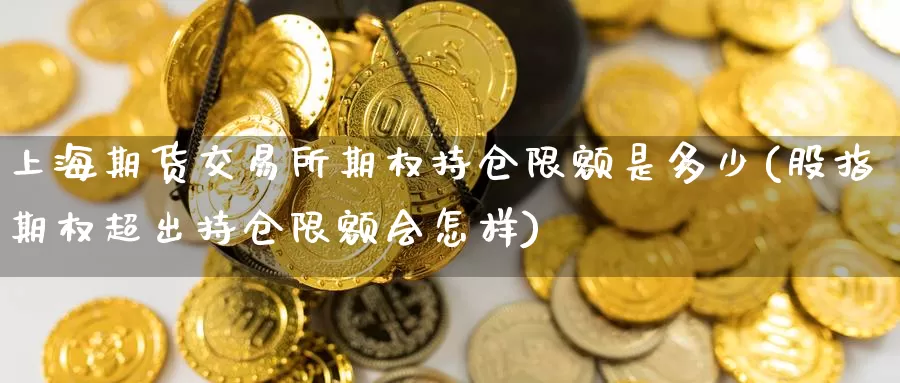 上海期货交易所期权持仓限额是多少(股指期权超出持仓限额会怎样)