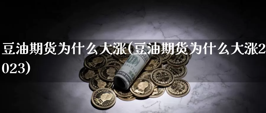 豆油期货为什么大涨(豆油期货为什么大涨2023)
