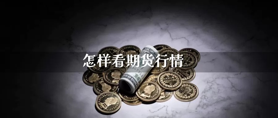 怎样看期货行情