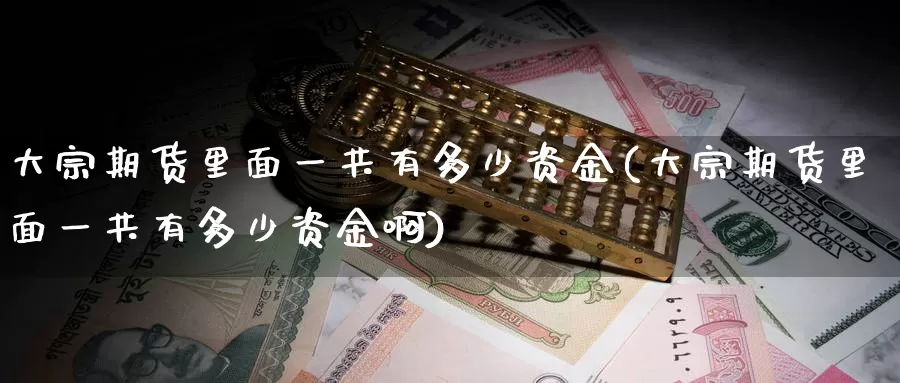 大宗期货里面一共有多少资金(大宗期货里面一共有多少资金啊)