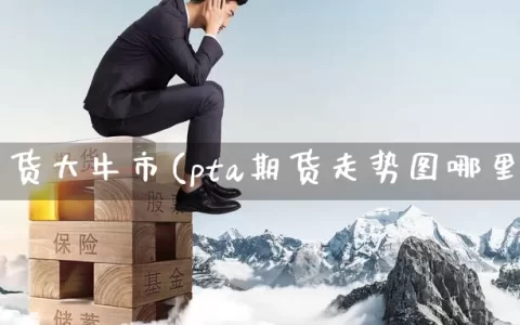 pta期货大牛市(pta期货走势图哪里看)