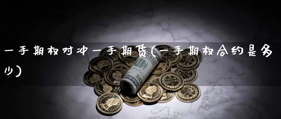 一手期权对冲一手期货(一手期权合约是多少)